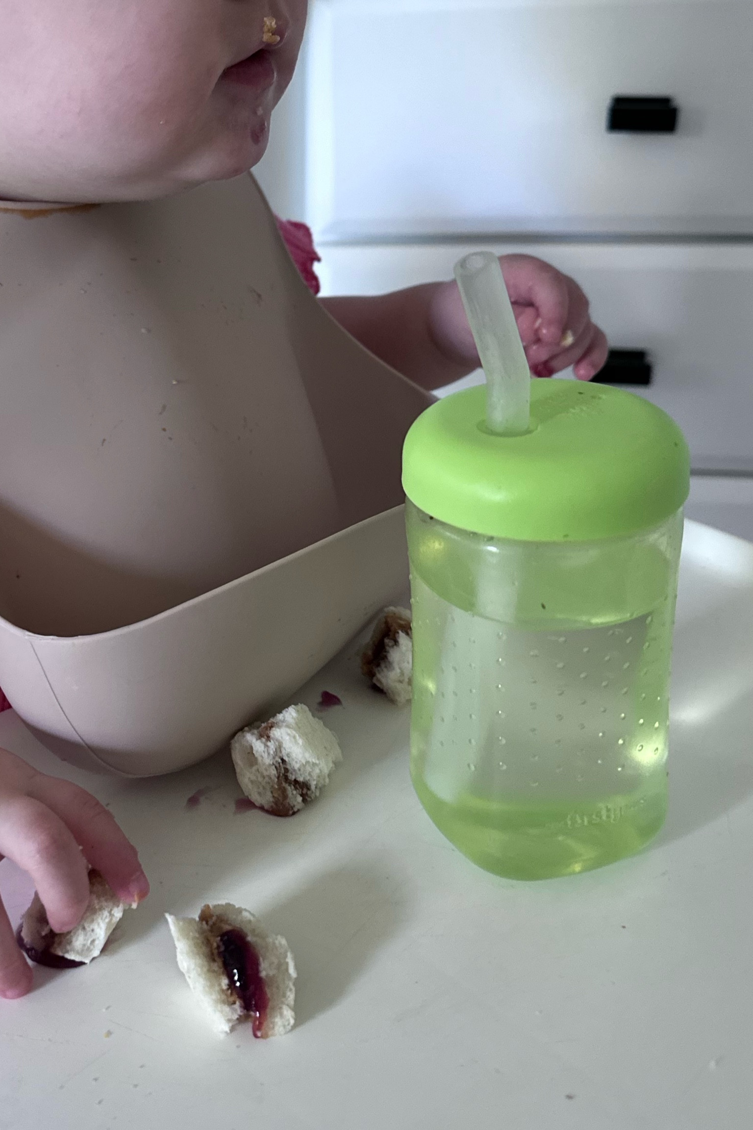If you have a little one, these bibs and water bottle are great! She figured out the straw SO quick

#LTKBump #LTKKids #LTKBaby