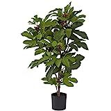 Nearly Natural 5440 Fig Tree, 32-Inch,Multi Color | Amazon (US)