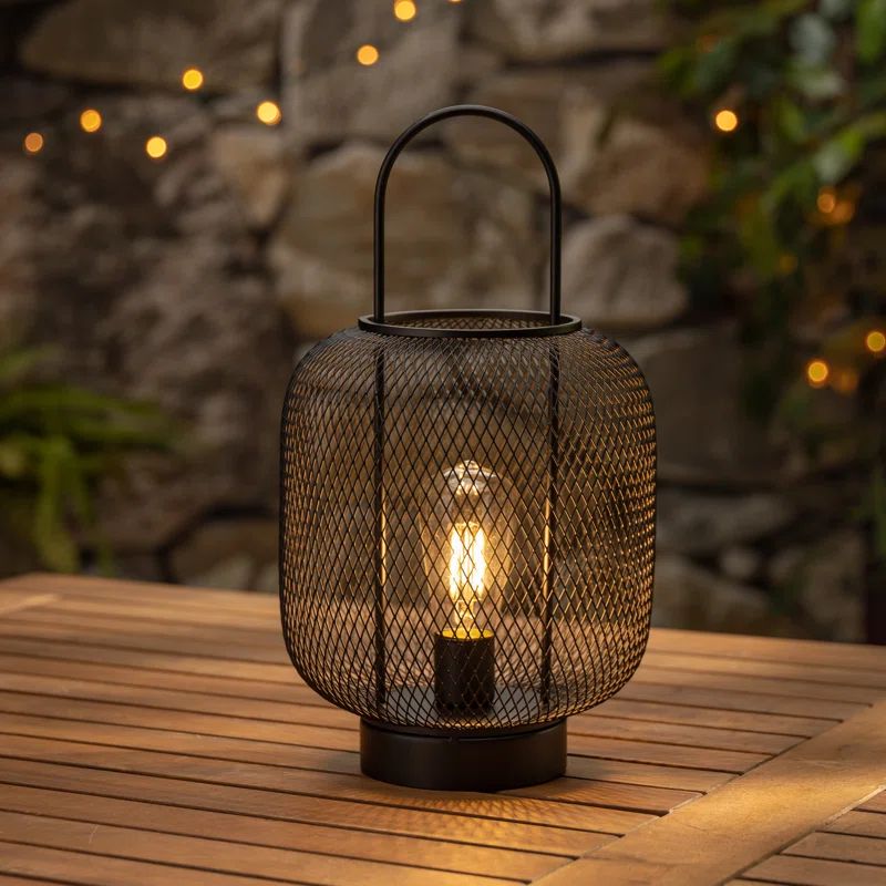 12.6'' Solar Powered Integrated LED Outdoor Lantern | Wayfair North America