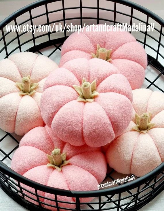 Pumpkin Felt Decoration or Set of 2 Pink Blush Pumpkin - Etsy | Etsy (US)