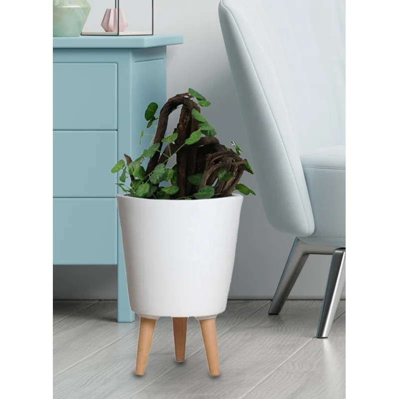 Adelinde Ceramic Pot Planter | Wayfair North America