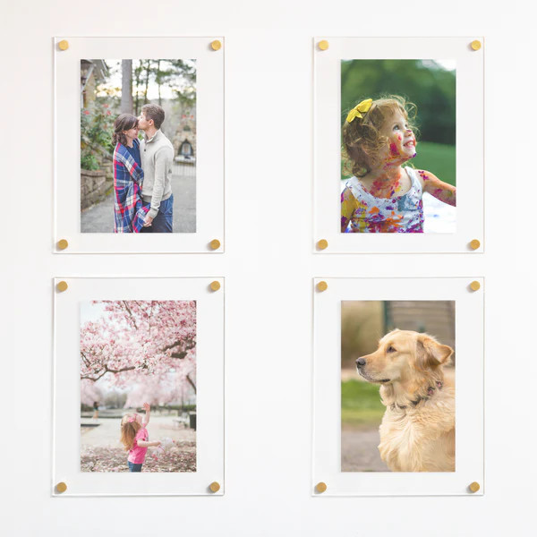 Acrylic Floating Frame with Gold Standoff Hardware | Calen Love