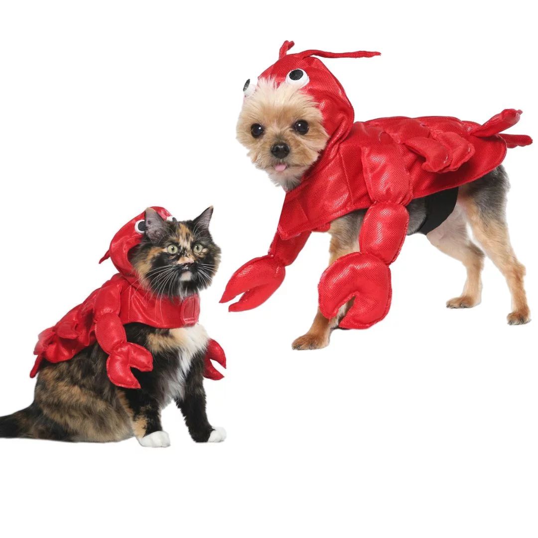 Vibrant Life Halloween Dog Costume and Cat Costume: Lobster, Size Small | Walmart (US)