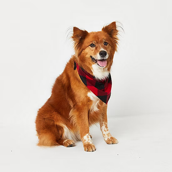 North Pole Trading Co. Plaid Dog Bandana | JCPenney