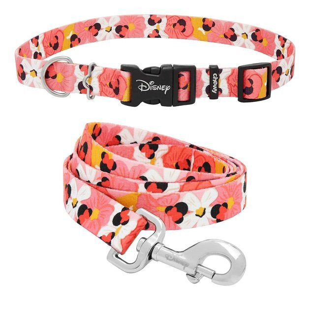 Bundle: Disney Minnie Mouse Floral Collar + Dog Leash | Chewy.com