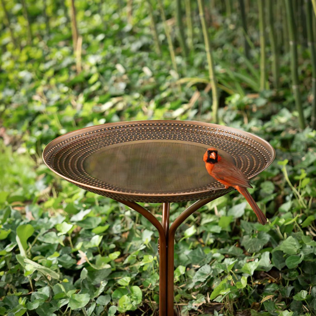 20 Copper Tranquility Birdbath With Stand - Etsy | Etsy (US)