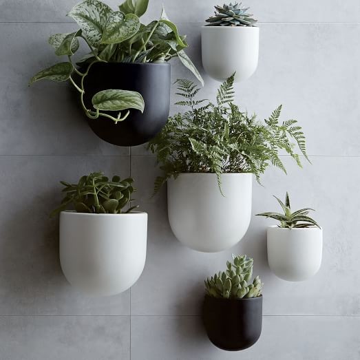 Ceramic Wallscape Planters | West Elm (US)