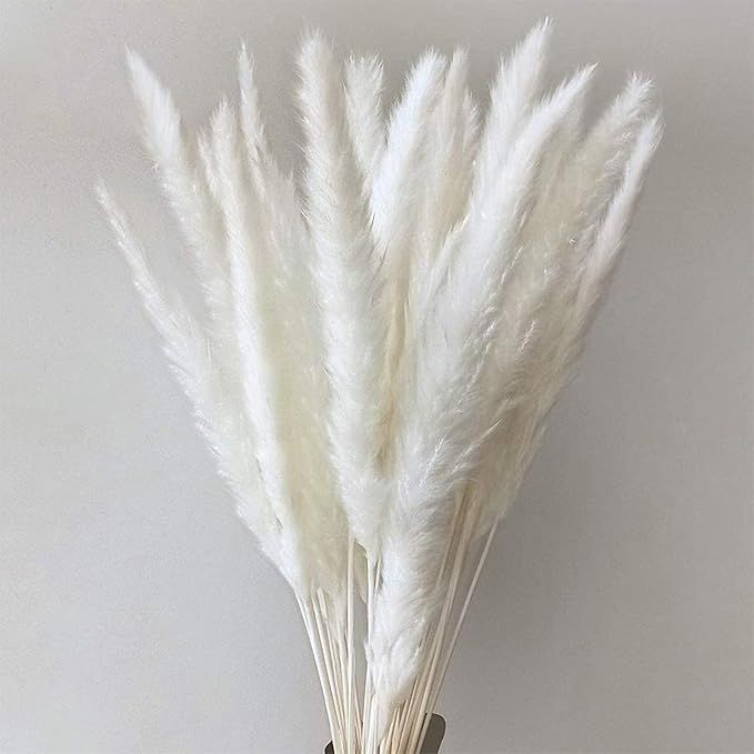 60 Pcs Natural Pampas Grass Dried Reed Plumes Phragmites Flowers Bouquet Decoration for Home Livi... | Amazon (US)