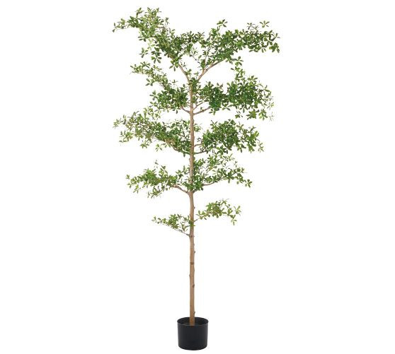 Faux Gregorywood Tree | Pottery Barn (US)