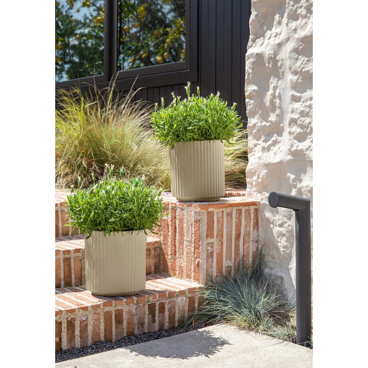 Demi Series Round Planter | Wayfair North America
