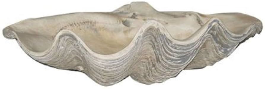 House Parts Large Clam Shell | Amazon (US)