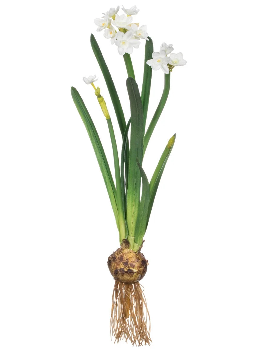 Sullivans Artificial Paperwhite With Bulb Stem 20"H White - Walmart.com | Walmart (US)