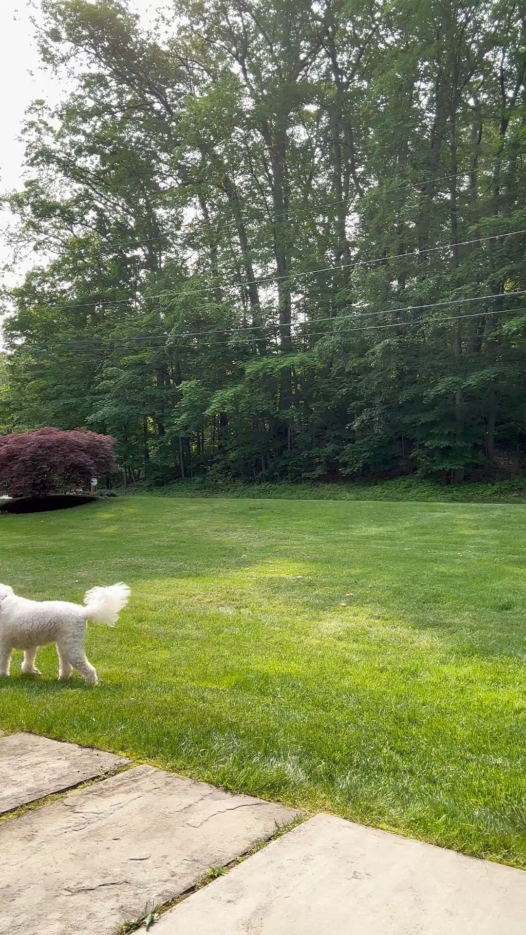 3 athleisure outfits for moms to wear all summer from @spanx
#spanxpartner 

#LTKStyleTip #LTKActive #LTKSummerEdit