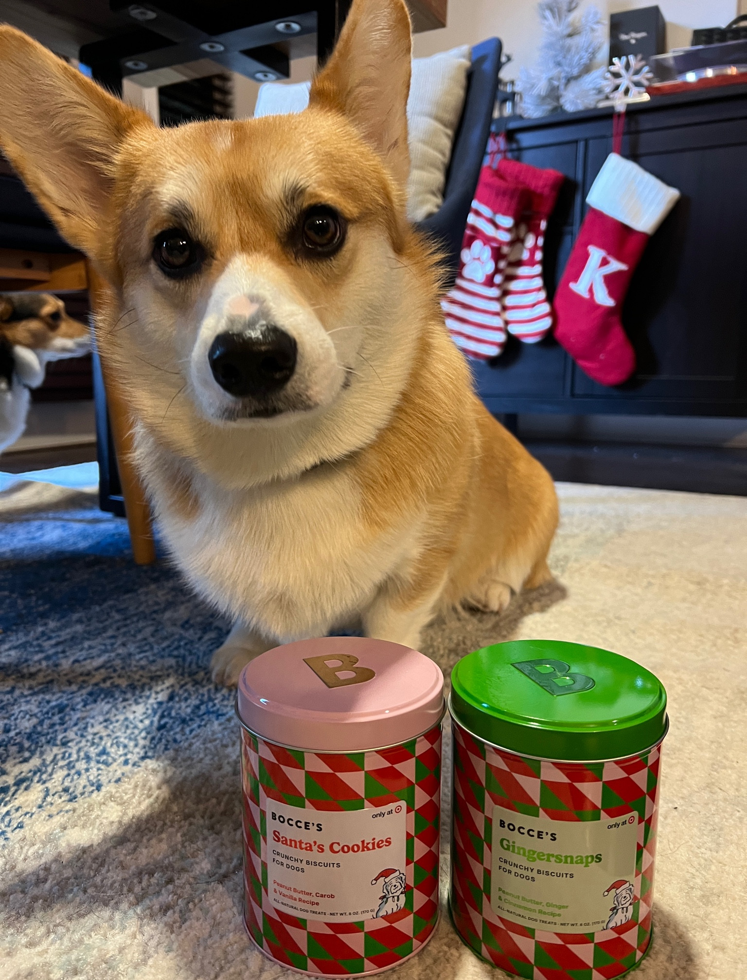Treats taste better when they come in a collectible tin! 


#LTKhome #LTKfindsunder50 #LTKHoliday