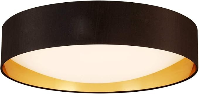 Eglo Lighting 204724A Lighting - Ceiling, 20-Inch, Gold | Amazon (US)