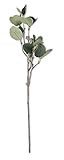 K&K Interiors 15698A 24 Inch Eucalyptus Stem, Green | Amazon (US)