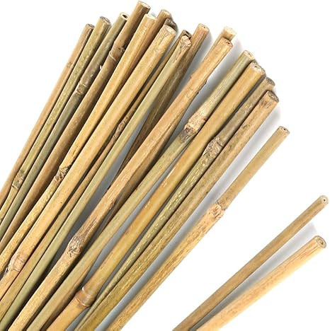 Pllieay 1.33'/16 inch Natural Thick Bamboo Stakes Garden Stakes for Indoor Gardening Plant Suppor... | Amazon (US)