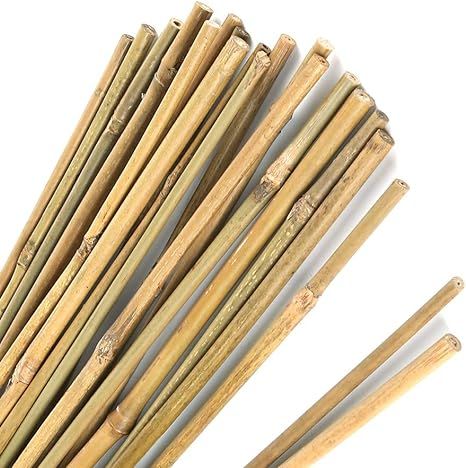 Pllieay 1.33'/16 inch Natural Thick Bamboo Stakes Garden Stakes for Indoor Gardening Plant Suppor... | Amazon (US)
