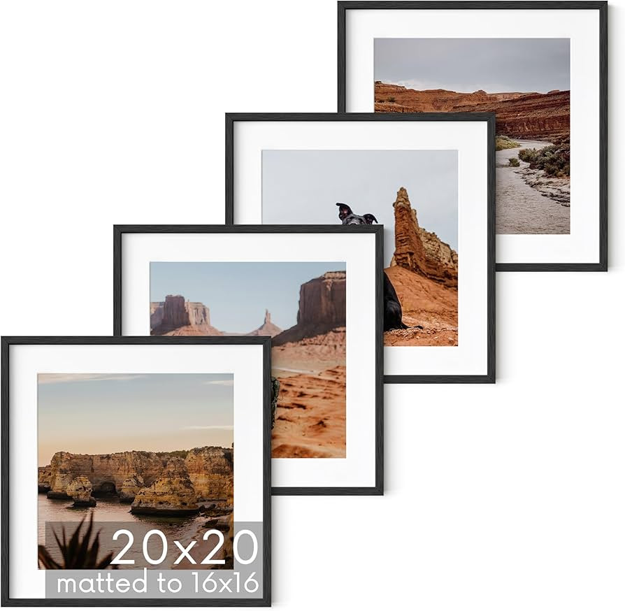 HAUS AND HUES Black Oak Wood 20x20 Picture Frames - Set of 4, Square Frames with Mat, Modern Fram... | Amazon (US)