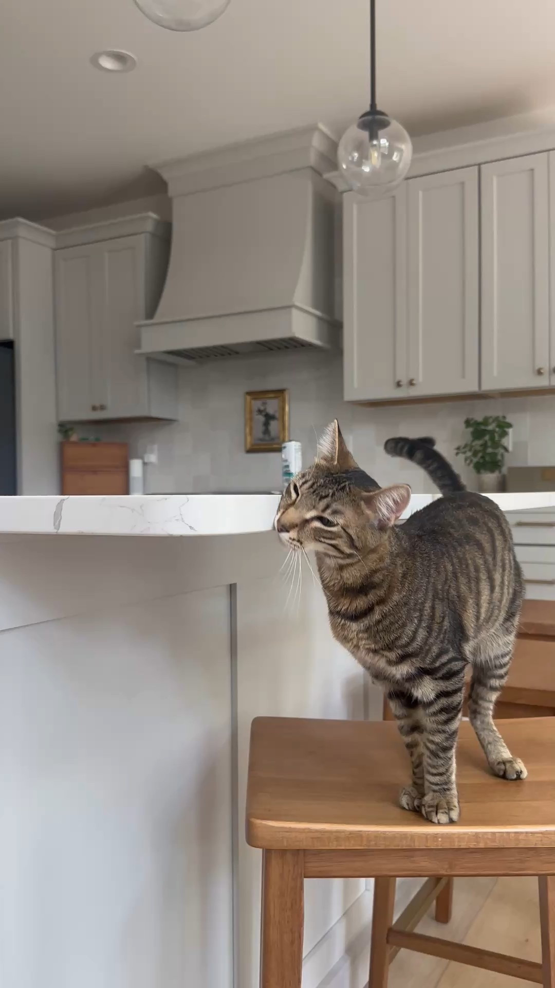 The counter stools with the perfect brass footrest for your kitchen. ✨

Two for under $150!

Color: Pecan

#LTKHome