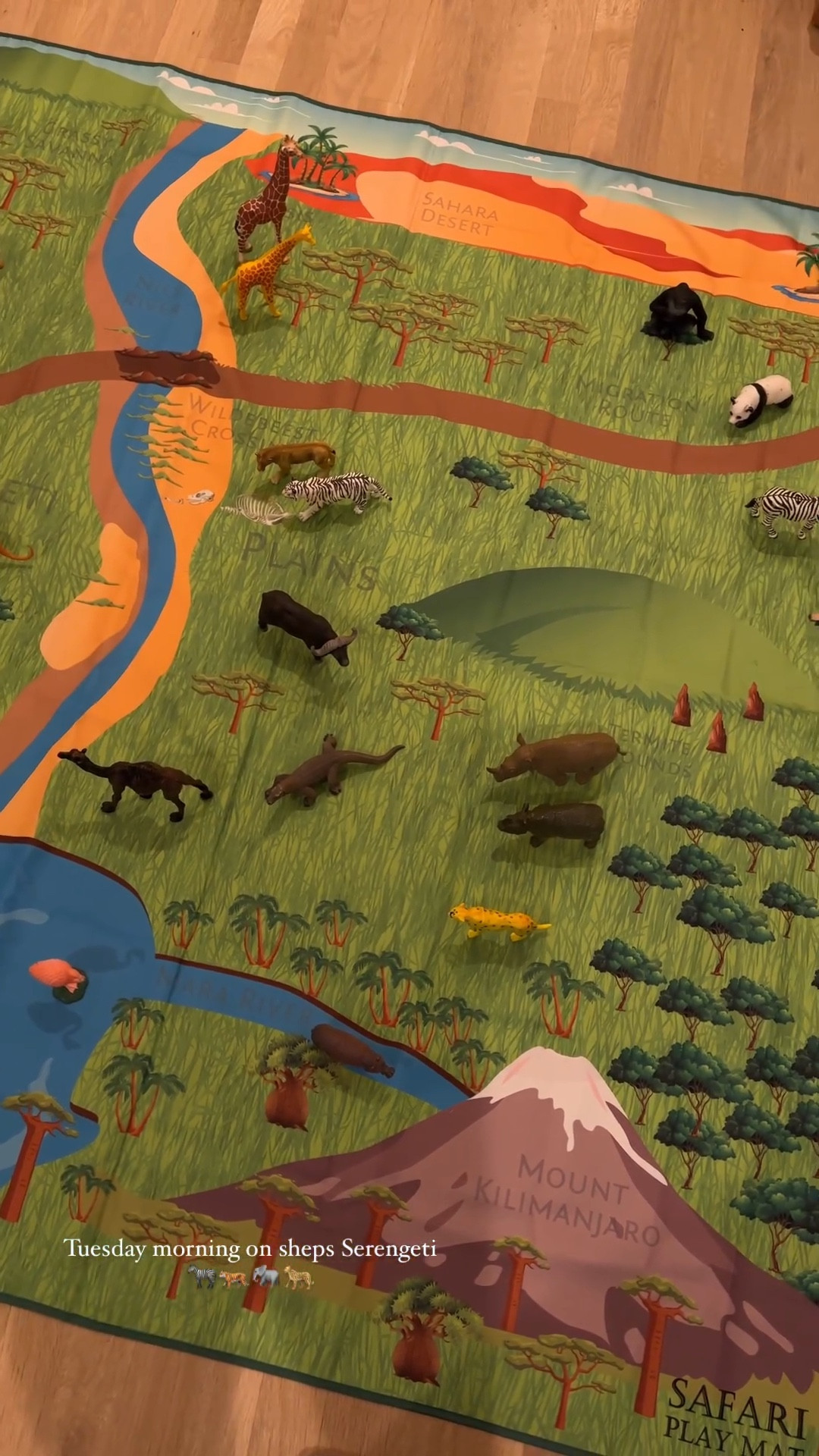 This Safari play mat is huge, folds up easily to take places & encourages imaginative play. Would make such a cute birthday gift for an animal lover. 









@Morgan.Speiser 
Birthday gift ideas, animal birthday, play mat, kids toys, summer activities, play. 


#LTKGiftGuide #LTKKids #LTKVideo