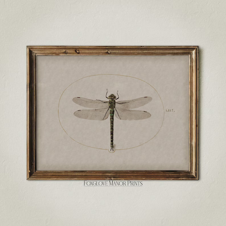 Vintage Dragonfly Wall Art | Digital Printable Download | Dark Academia Artwork | Moody Wall Deco... | Etsy (US)