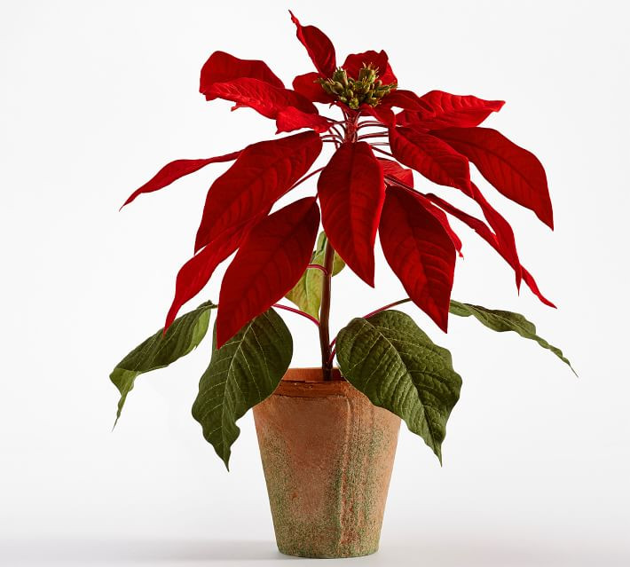 Faux Potted Poinsettias - Red | Pottery Barn (US)
