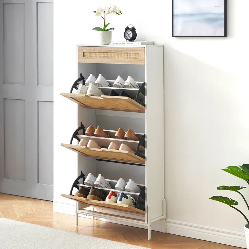 12 Pair Shoe Storage Cabinet | Wayfair North America
