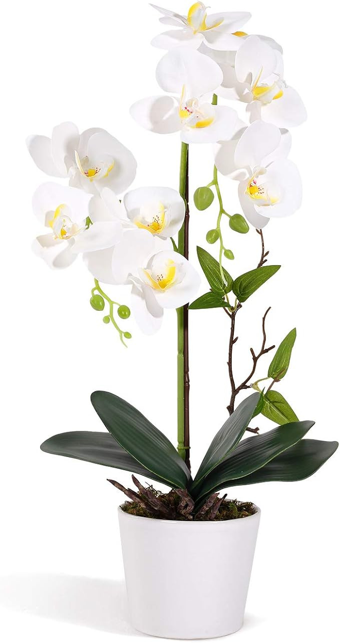 LIVILAN Orchids Artificial Flowers Pink Phalaenopsis Orchid Plant with Ceramic Pot Artificial Orc... | Amazon (US)