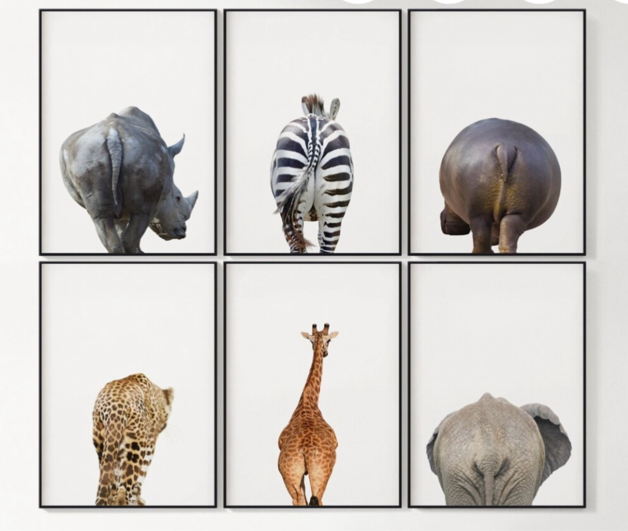 Bathroom decor 
🦛🍑