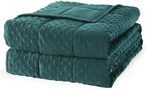 Mr. Sandman Weighted Blanket for Adults Queen Size 15 lbs, Soft Cooling Heavy Minky Blanket for S... | Amazon (US)