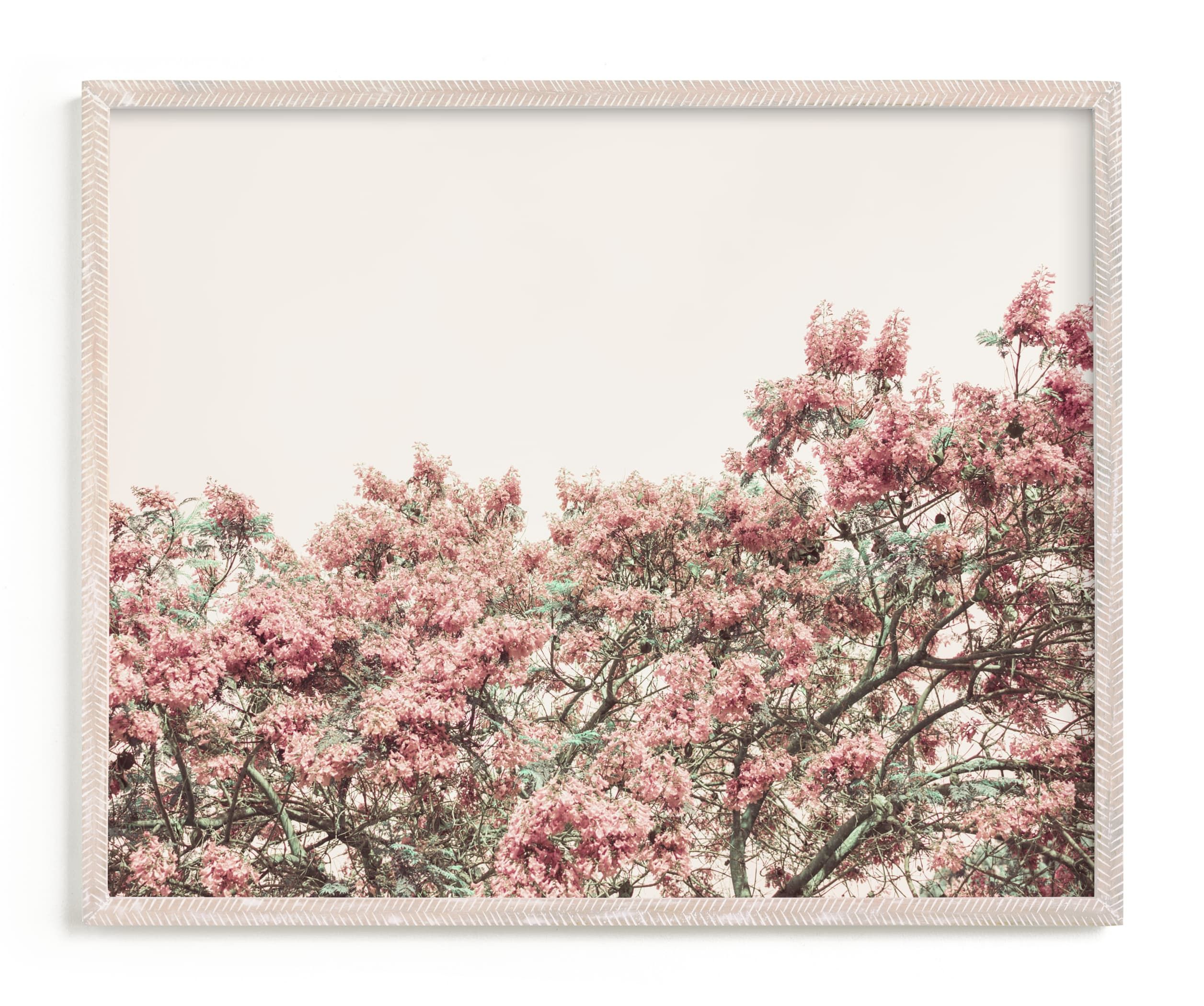 "Jacaranda in bloom" - Photography Limited Edition Art Print by Owl and Toad. | Minted
