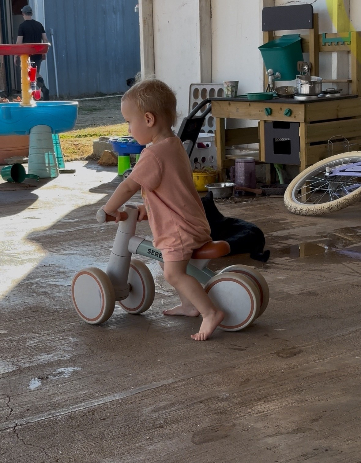 Our one year old has been putting her balance bike to use lately. Was a great first birthday gift and she’s got it down!

#LTKmomlife #LTKBaby #LTKKids