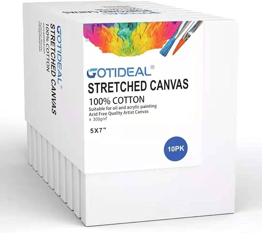 GOTIDEAL Stretched Canvas, 5x7" Inch Set of 10, Primed White - 100% Cotton Artist Canvas Boards f... | Amazon (US)