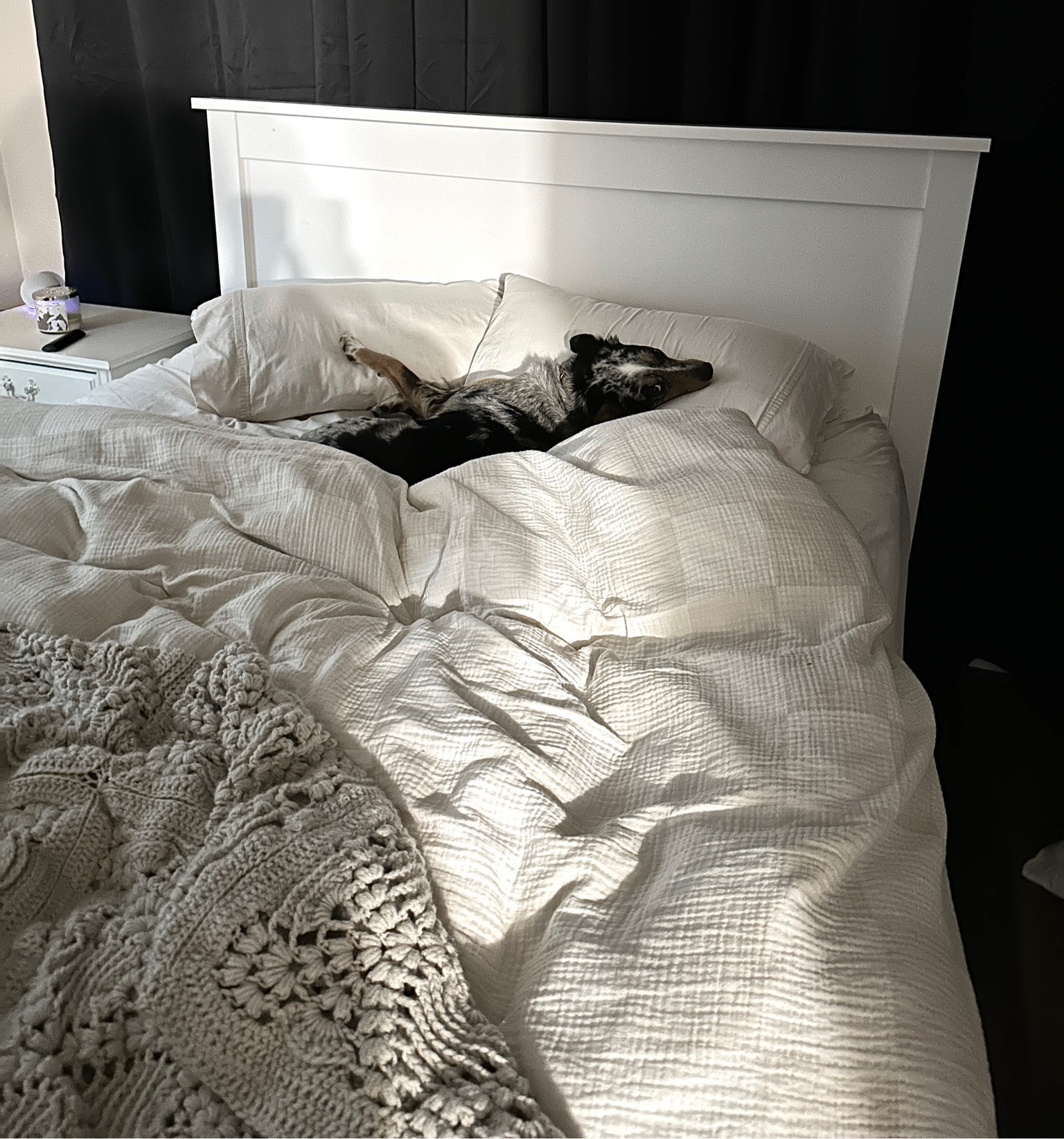 cozy 🐶🤍

#LTKhome #LTKSeasonal #LTKFind