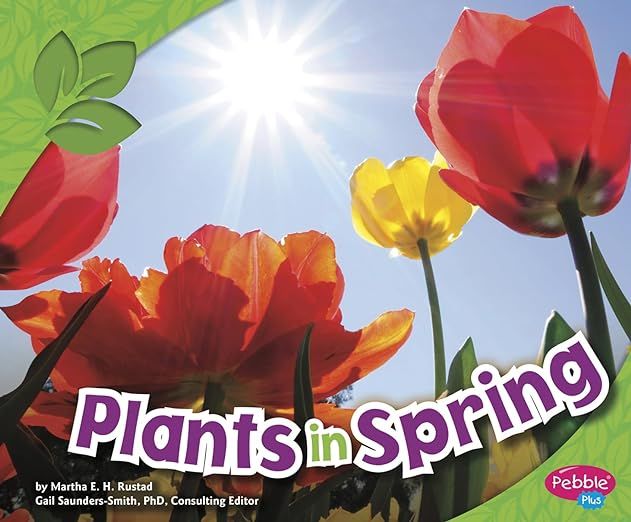 Plants in Spring (All About Spring) | Amazon (US)