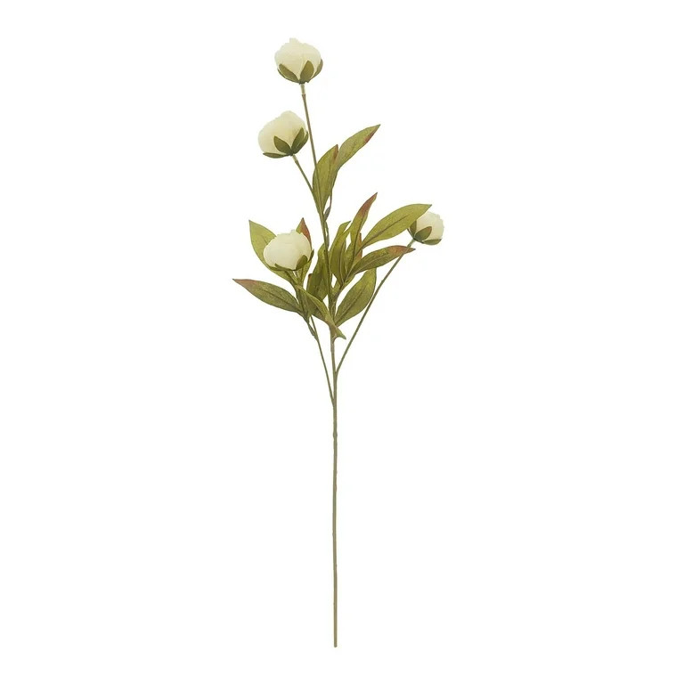 MICHAELS Cream Peony Stem by Ashland® | Walmart (US)