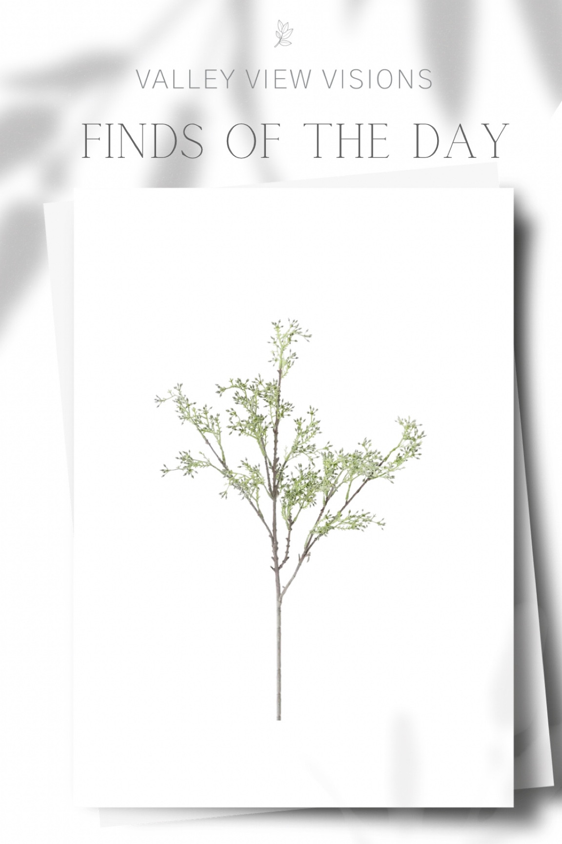 Afloral stems 

#LTKtravel #LTKhome #LTKSeasonal
