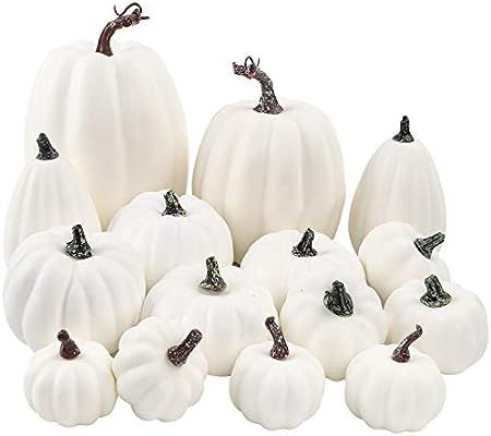 FUNARTY 16pcs White Artificial Pumpkin Various Sizes Pumpkin Decorations for Fall Harvest Party, ... | Amazon (US)