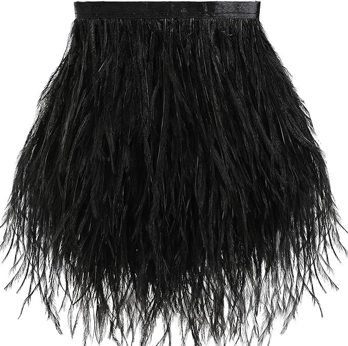 Black Ostrich Feather Trim - 2Yards 5-7inch Feathers Fringe Trim for DIY Sewing Clothing,Latin Dr... | Amazon (US)