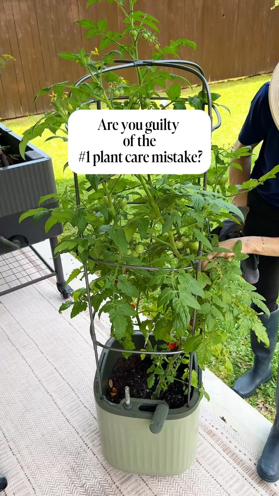 Okay this @vego self watering planter had my tomatoes absolutely POPPING. 🍅🌱
I was blown away by how fast they grew — but honestly living in Houston’s sun didn’t hurt either! ☀️ The best part? I only had to refill the water tank once or twice a week and the planter did the rest. Basically hands off… as long as you actually check your moisture meter 😂 

#selflwateringplanter #tomatogarden #growyourown #houseplantlover #gardentok

#LTKdayinmylife #LTKOver40 #LTKHome