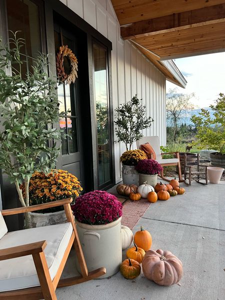 Fall front porch images. So beautiful with crocs , large vases on sale , mums, faux olive trees. The perfect fall porch set up 

#LTKhome #LTKHalloween #LTKSeasonal