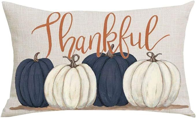 WENIANRU Ink Painting Blue Pumpkins Thankful Fall Y'all Thanksgiving Day Home Sofa Chair Bed Deco... | Amazon (US)