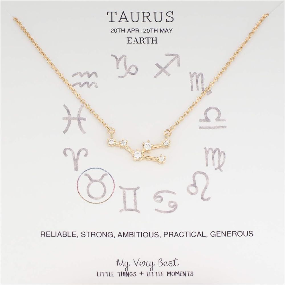 My Very Best Horoscope Constellation Zodiac Sign Necklace | Amazon (US)