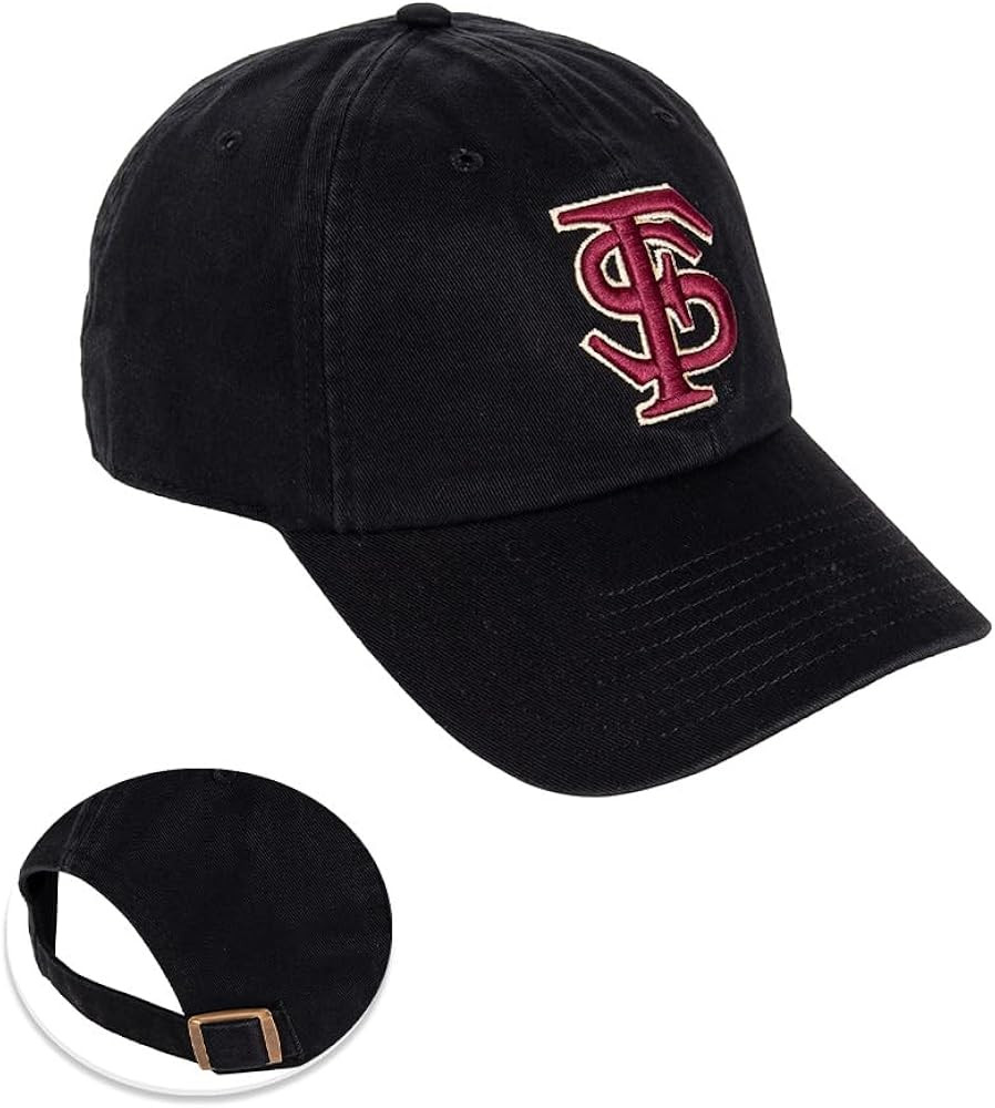 Desert Cactus Florida State University Baseball Hat Seminoles FSU Brimmed Embroidered Cap Adjusta... | Amazon (US)