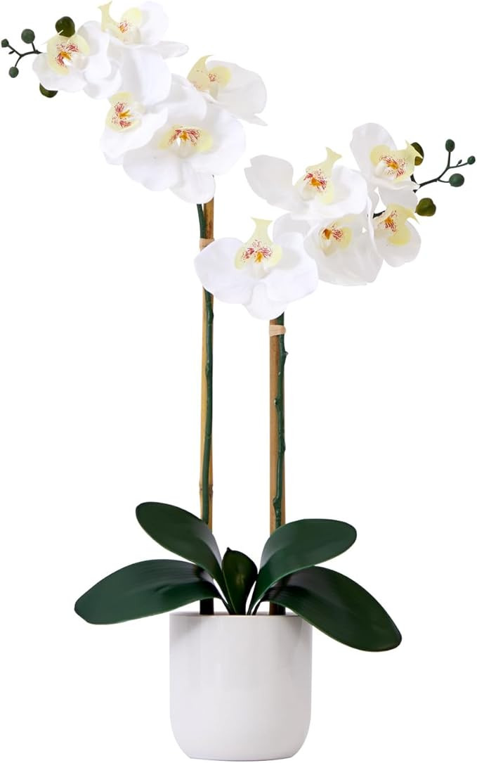 Nearly Natural 26in. Artificial Double Orchid Phalaenopsis with Decorative Vase (Real Touch) | Amazon (US)