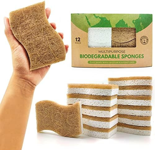 AIRNEX Biodegradable Natural Kitchen Sponge - Compostable Cellulose and Coconut Walnut Scrubber Spon | Amazon (US)