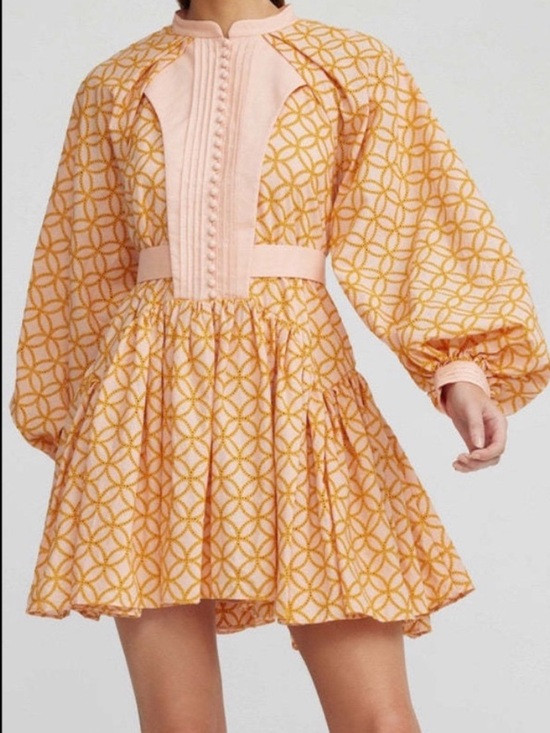 Roiii Embroidered  Baroque Puff Sleeve Full Skirt Dress | Poshmark