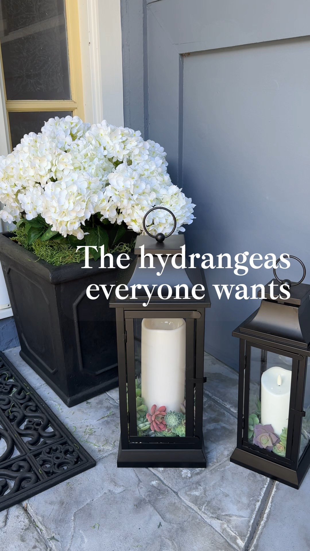 It’s never too early to think about spring! These lush hydrangeas are positively gorgeous! 

Take them out of the box and fluff!! Pop them in a planter and you are done! 

And best of all, they are from Amazon! #LTKHome

#LTKSeasonal