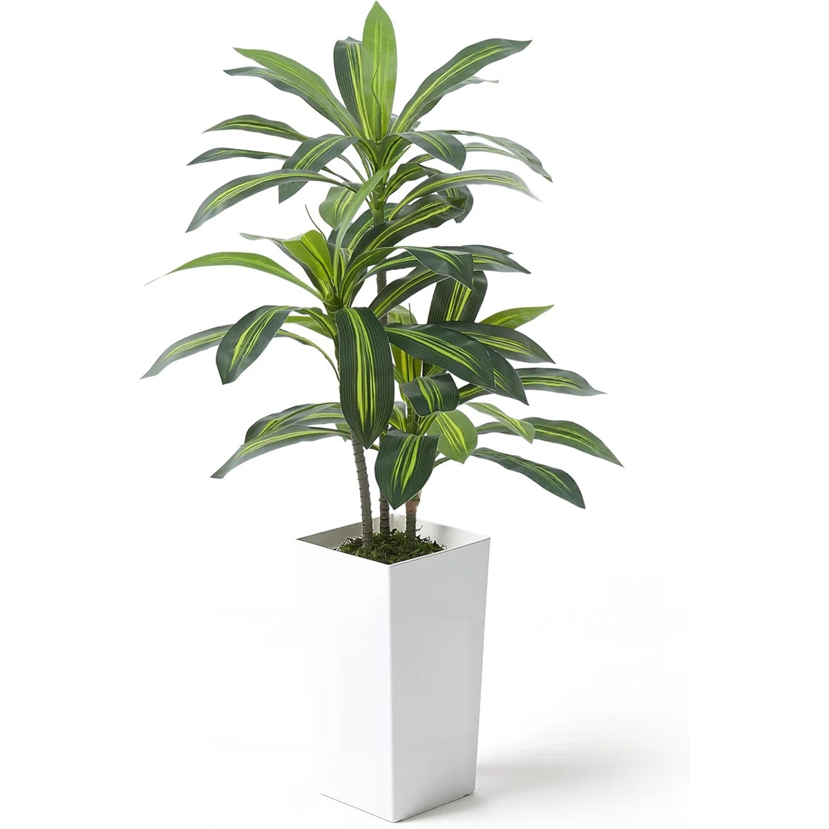 4 FT Artificial Dracaena Tree, Fake Plant in Modern White Planter with Moss D\u00e9cor, 48 Inch R... | Wayfair North America